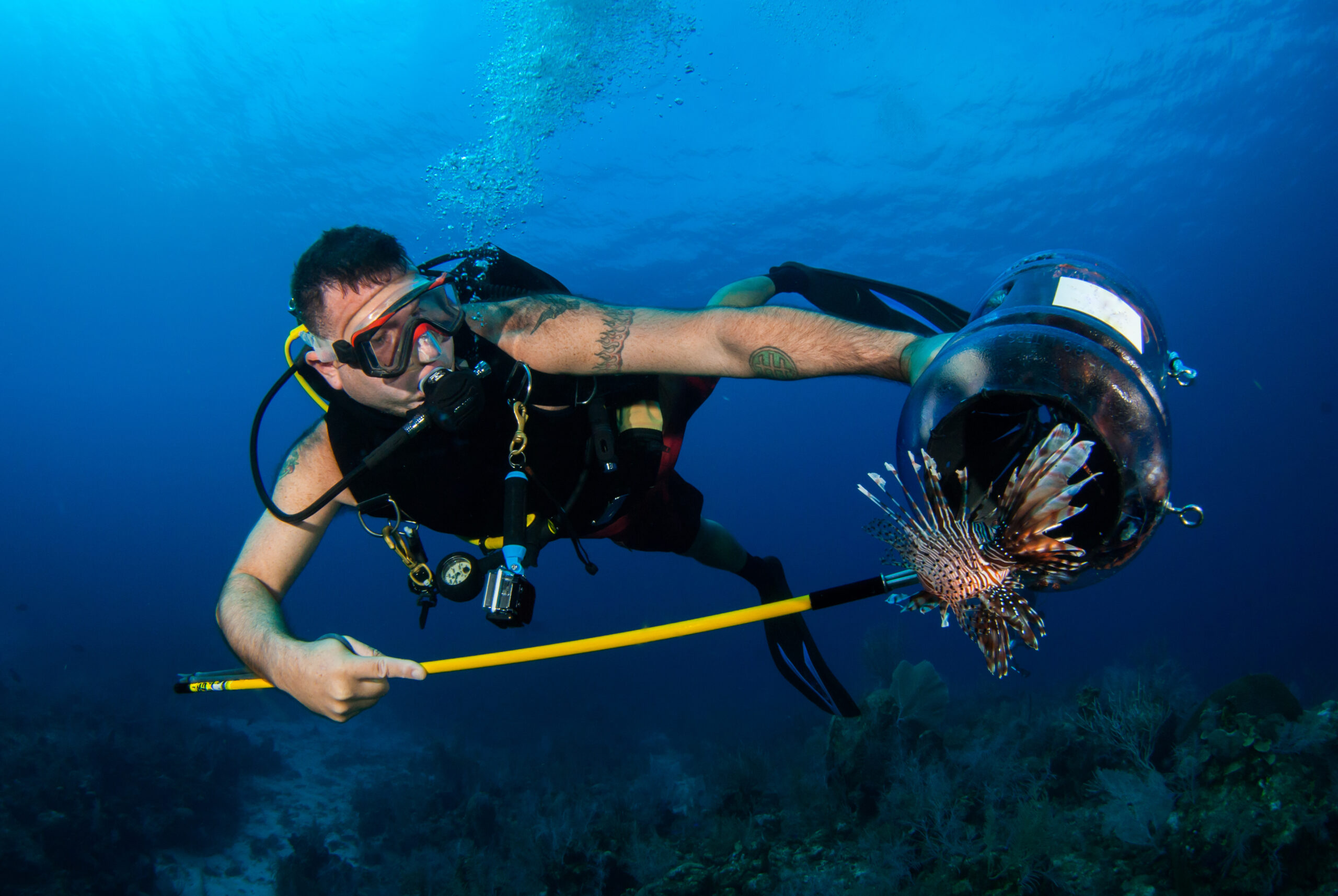 A Study of Lionfish Distribution in the Bahamas