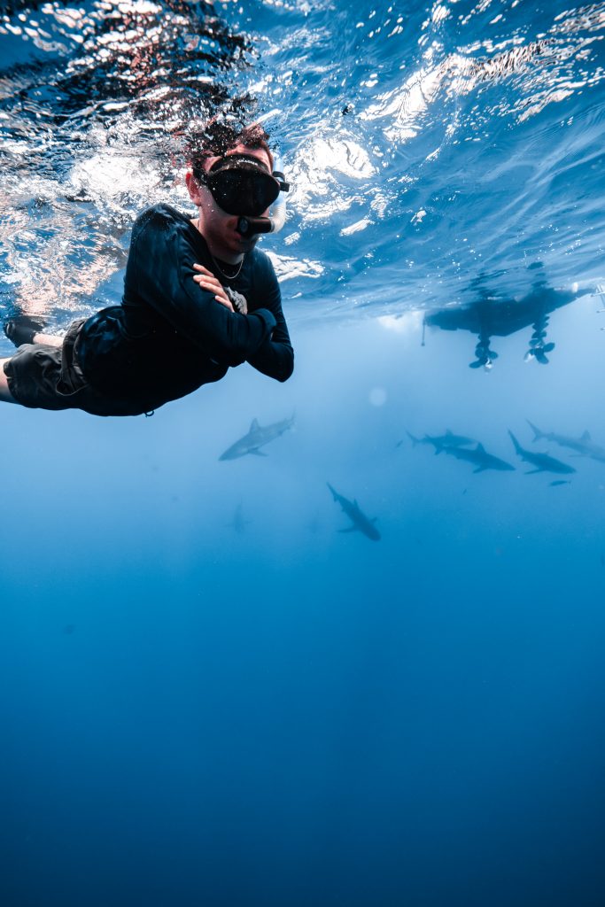 NAUI Instructor Sandor Doczy-Bordi, a marine biology student turning shark passion into dive leadership through training.