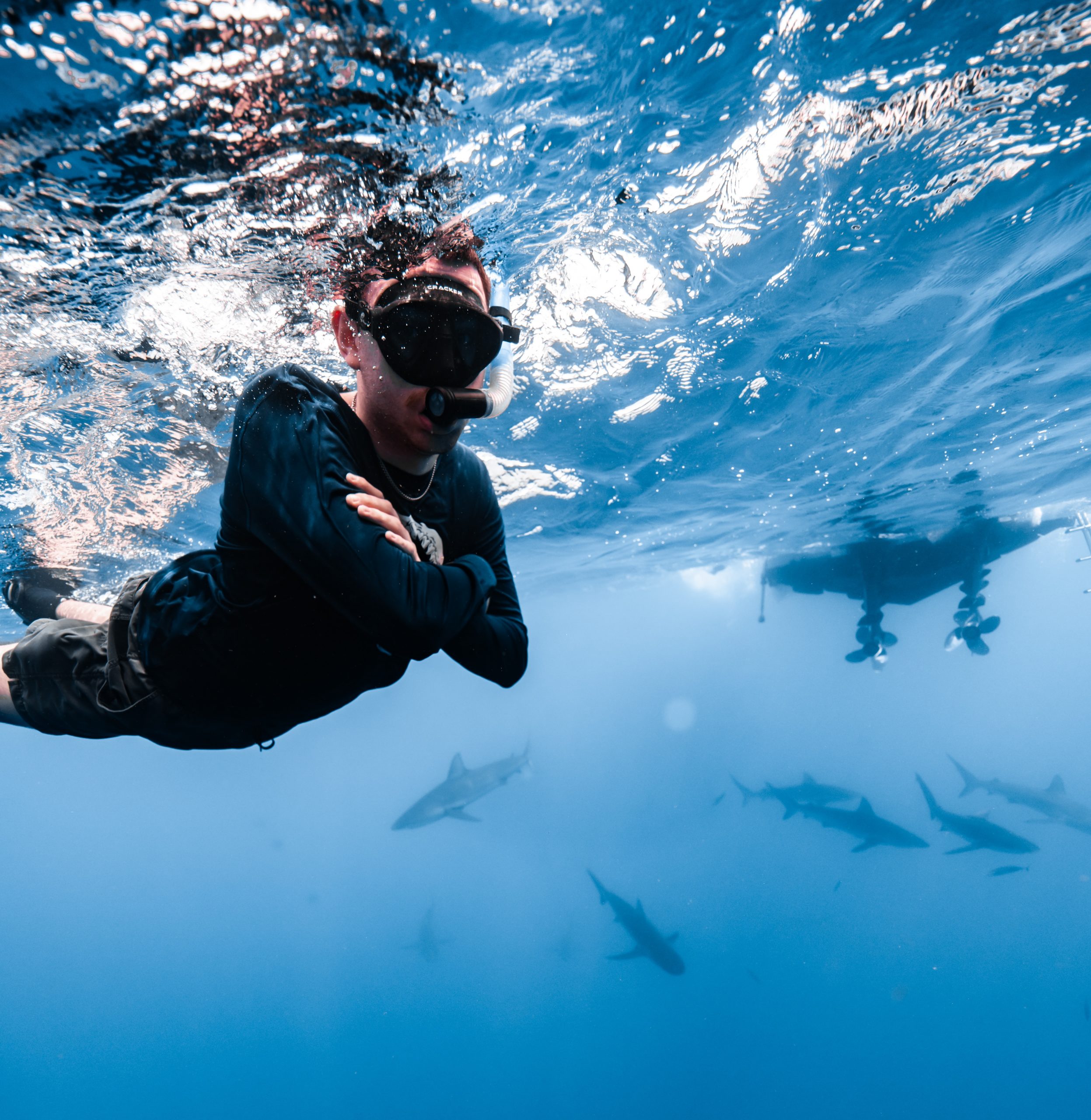 #NAUIDiveSpotlight: Sandor Doczy-Bordi – Shark Researcher and NAUI Instructor