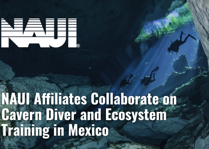 NAUI Affiliates Collaborate on Cavern Diver and Ecosystem Training in Mexico Cavern Diver